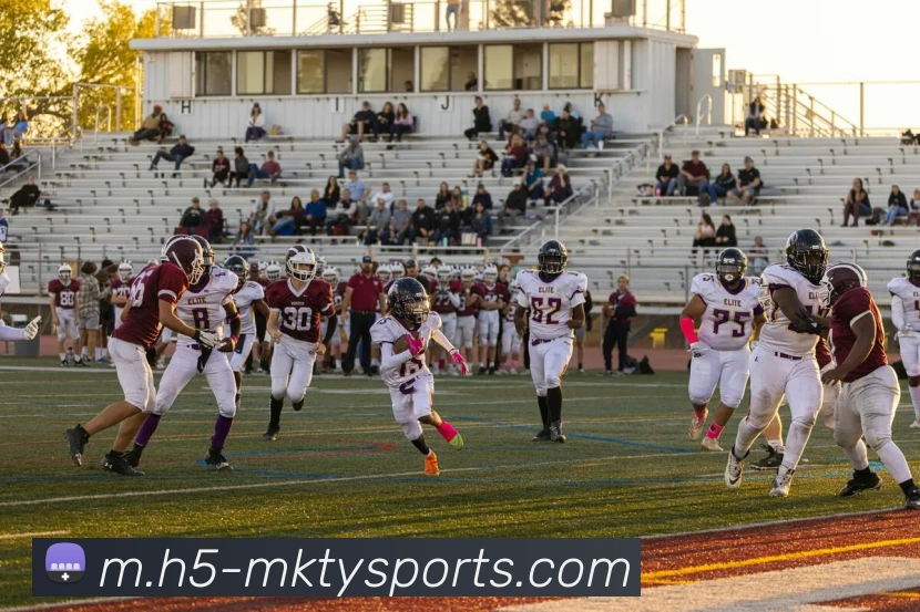 App Interface Preview