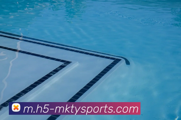 体育下注APP 封面图