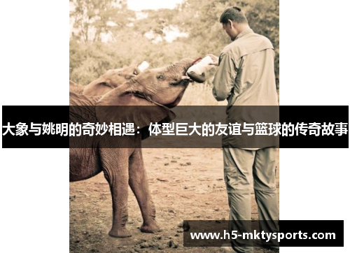 大象与姚明的奇妙相遇：体型巨大的友谊与篮球的传奇故事